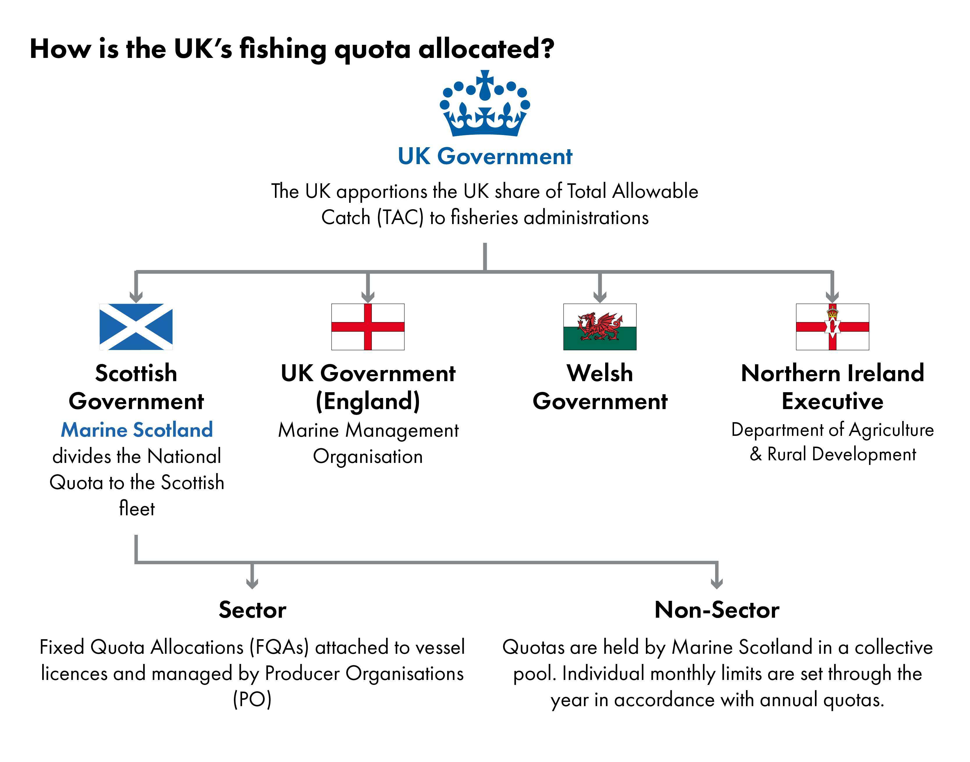 Flow chart showing the process for distributing fishing quota within the UK.
